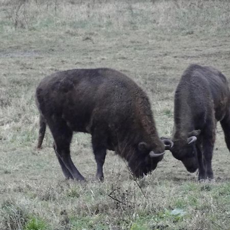 Agroturystyka Zywe Kruklanki Exteriör bild