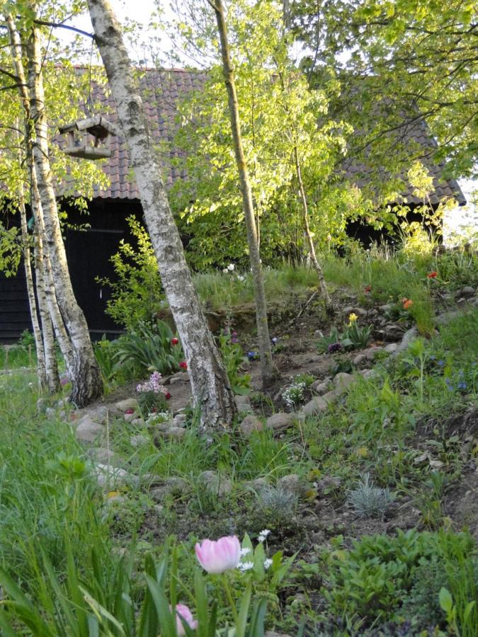 Agroturystyka Zywe Kruklanki Exteriör bild