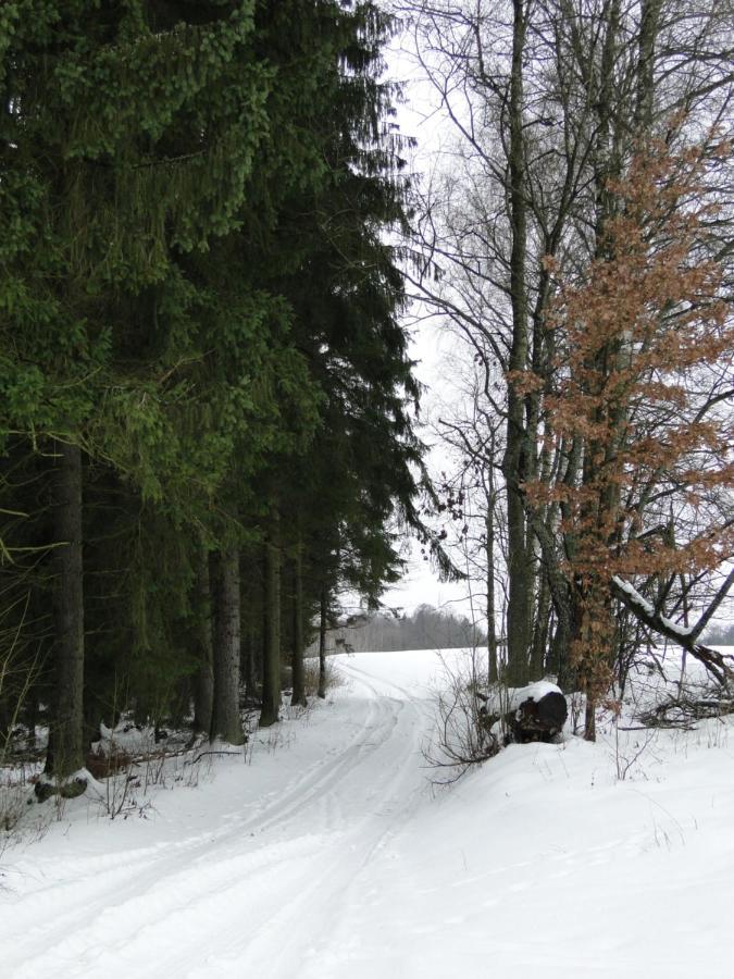 Agroturystyka Zywe Kruklanki Exteriör bild
