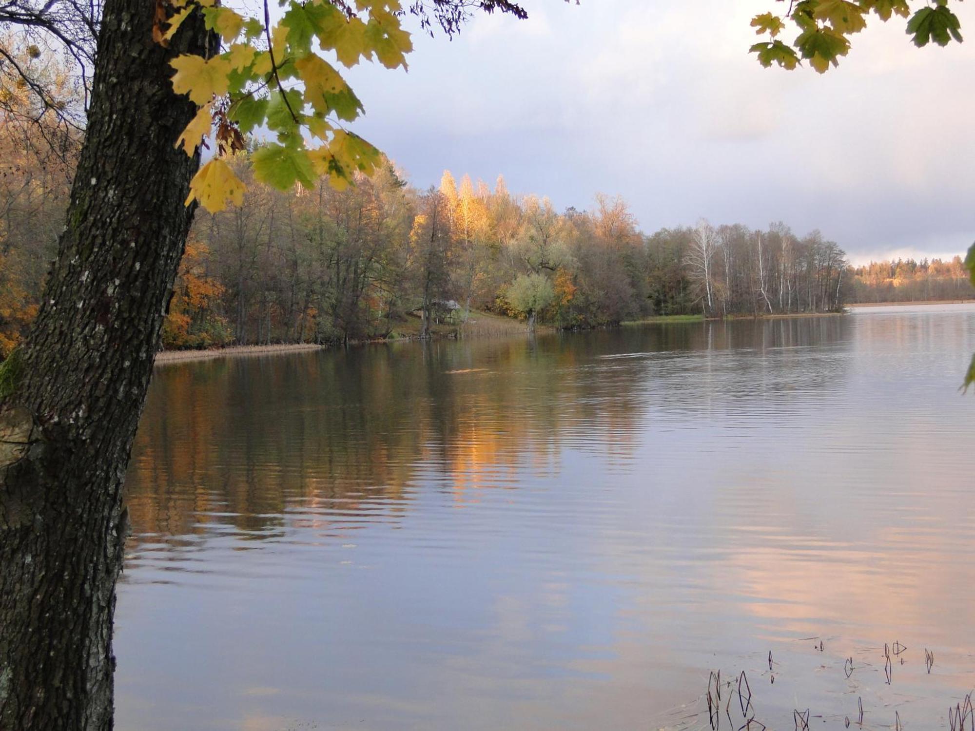 Agroturystyka Zywe Kruklanki Exteriör bild