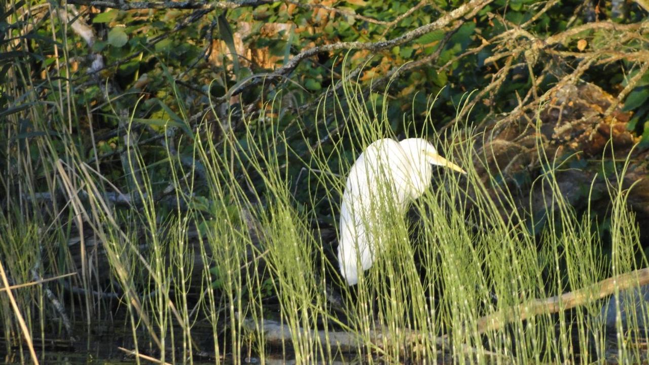 Agroturystyka Zywe Kruklanki Exteriör bild