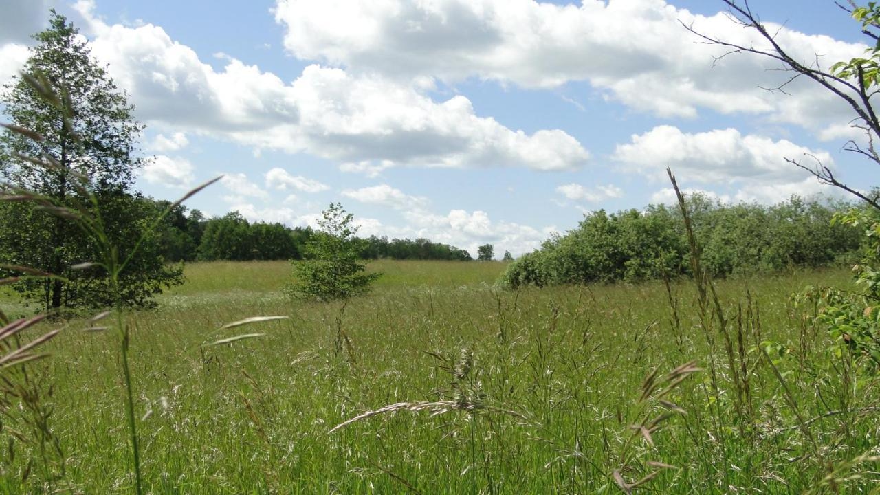 Agroturystyka Zywe Kruklanki Exteriör bild