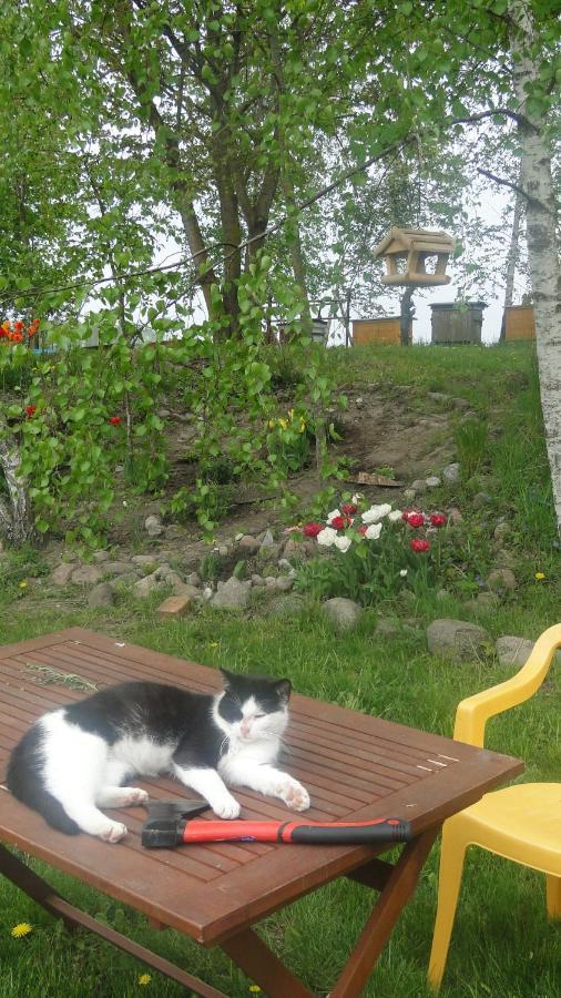 Agroturystyka Zywe Kruklanki Exteriör bild