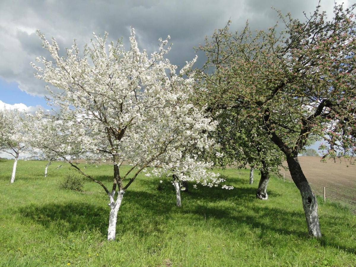Agroturystyka Zywe Kruklanki Exteriör bild
