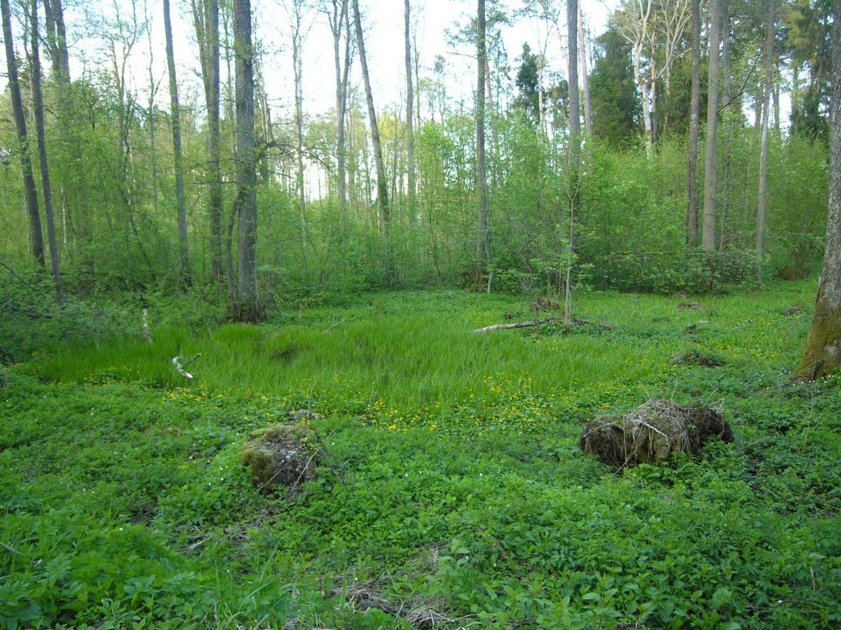Agroturystyka Zywe Kruklanki Exteriör bild