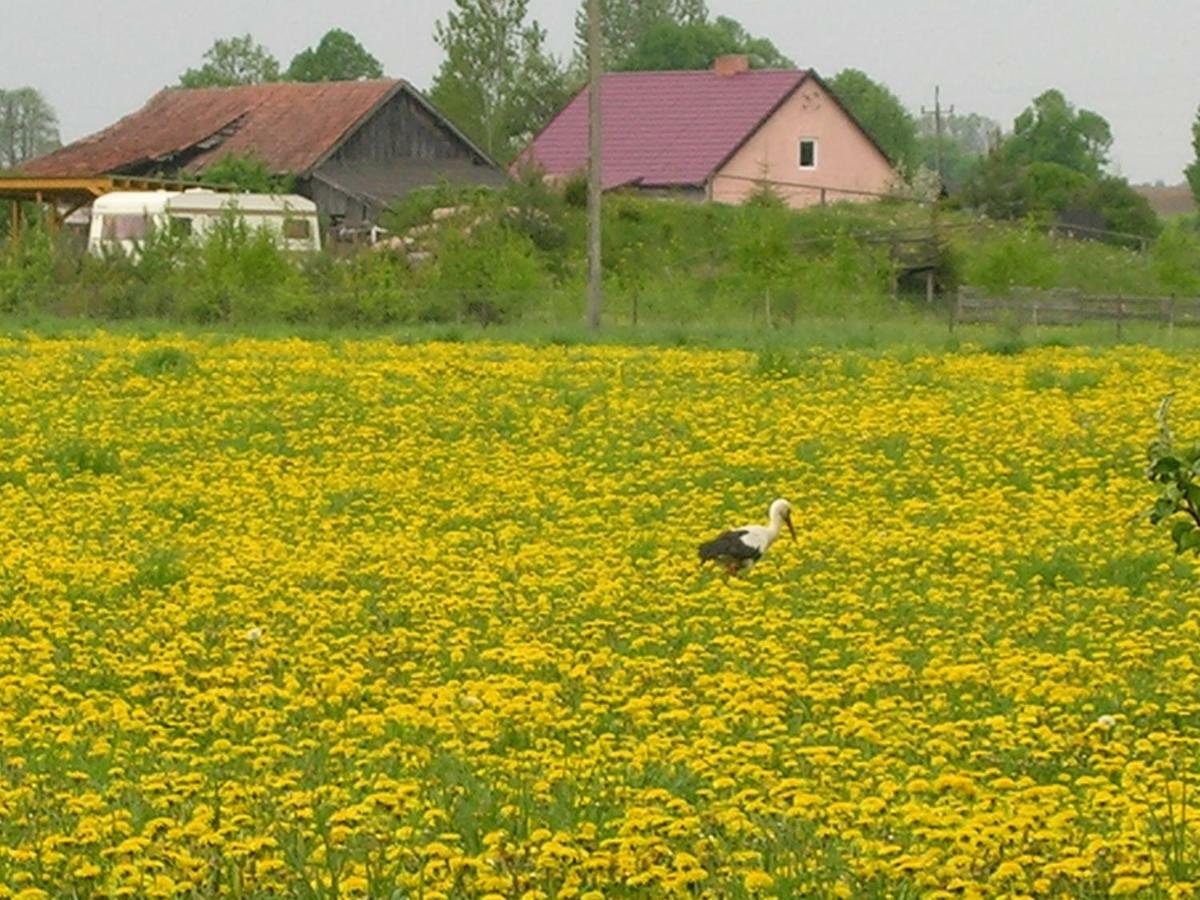 Agroturystyka Zywe Kruklanki Exteriör bild